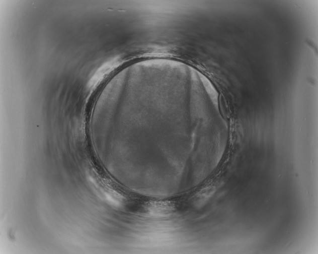X0000102230296200808151736