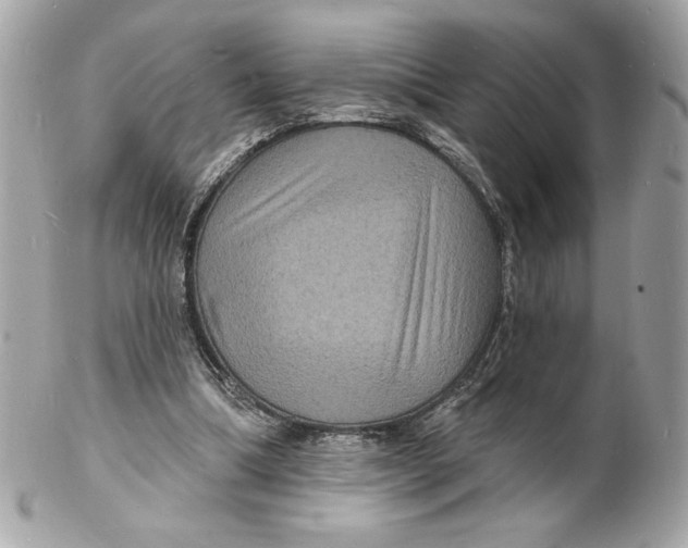 X0000102230298200808151736