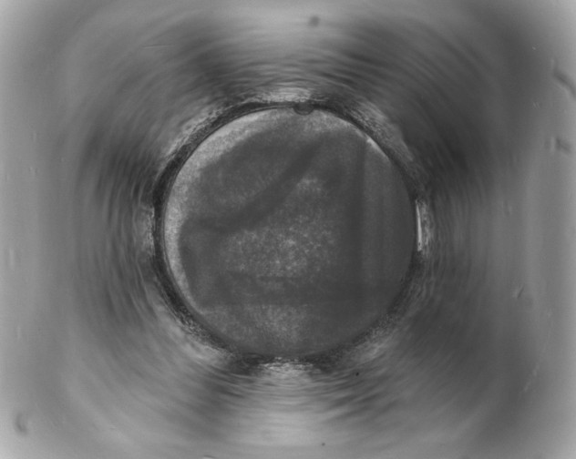 X0000102230300200808151736