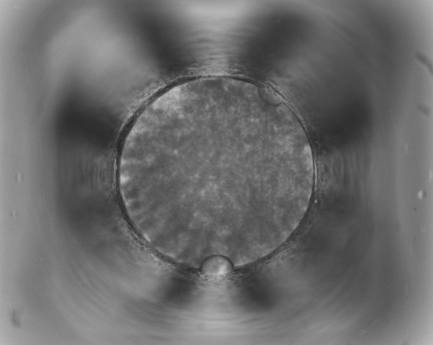 X0000102230301200808151736