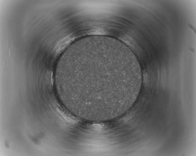 X0000102230302200808151736