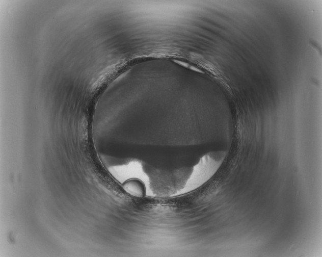 X0000102230303200808151736