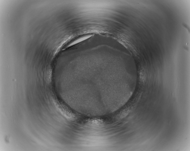 X0000102230304200808151736