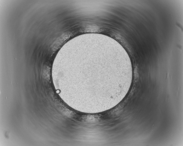 X0000102230305200808151736