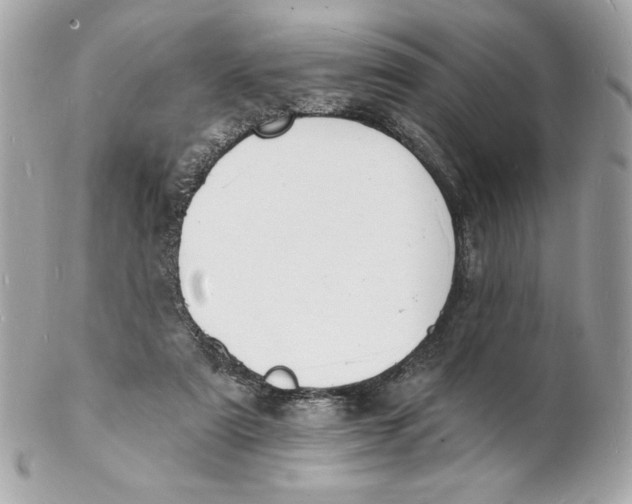 X0000102230307200808151736