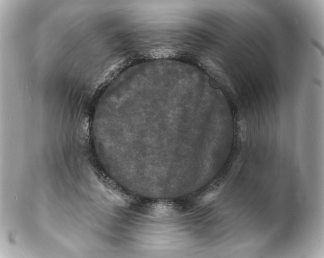 X0000102230308200808151736