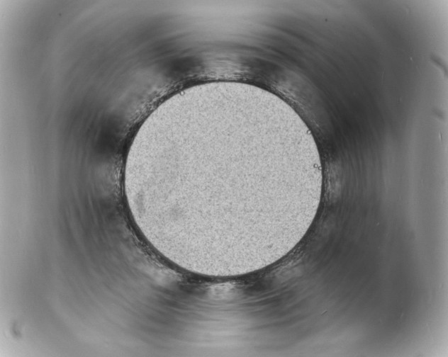 X0000102230309200808151736