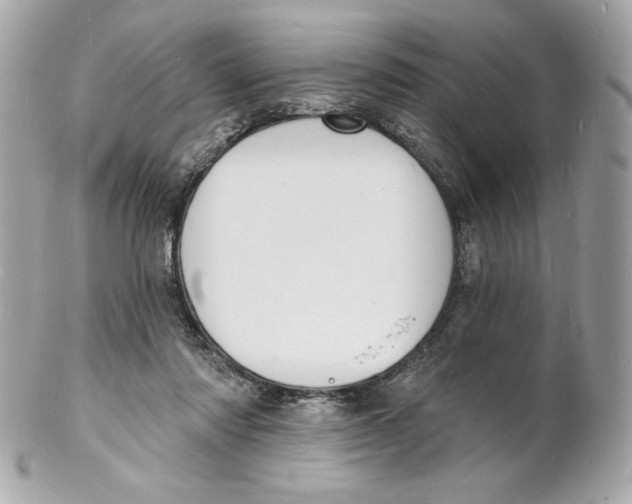 X0000102230310200808151736