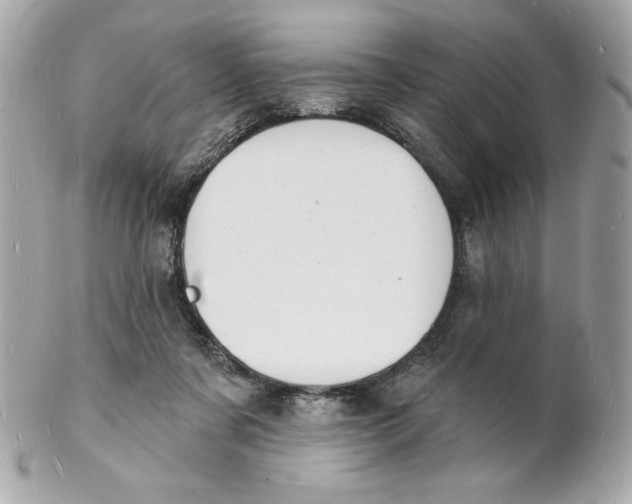 X0000102230311200808151736