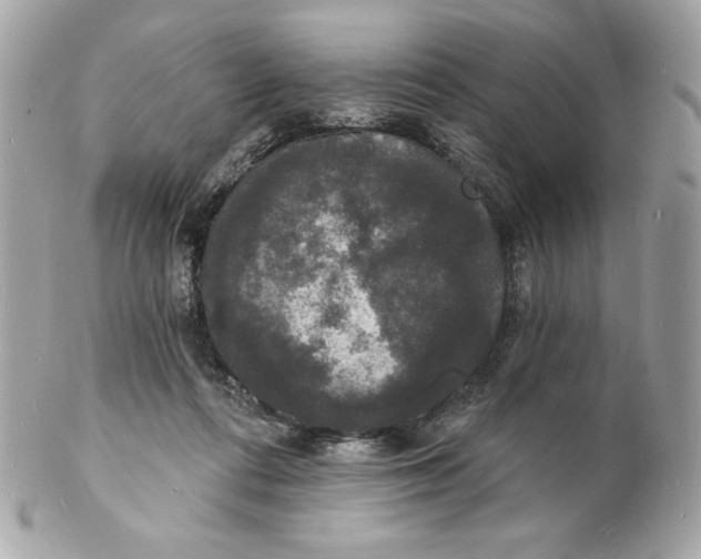 X0000102230312200808151736