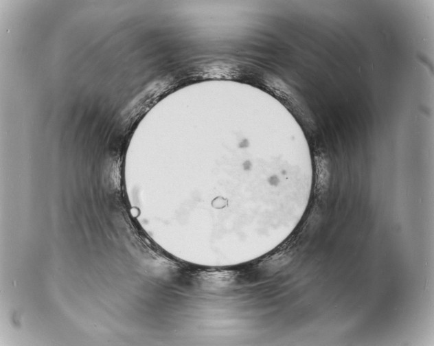 X0000102230313200808151736