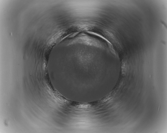 X0000102230314200808151736
