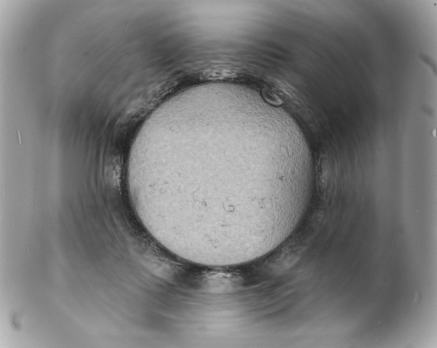 X0000102230315200808151736
