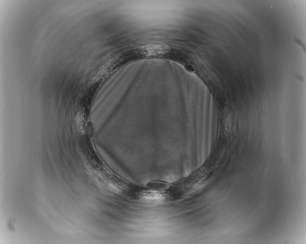 X0000102230316200808151736