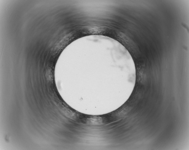 X0000102230317200808151736