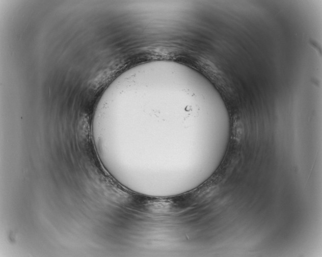 X0000102230318200808151736