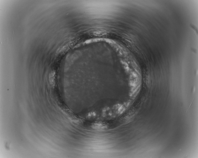 X0000102230319200808151736