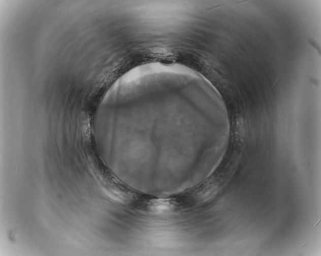 X0000102230320200808151736