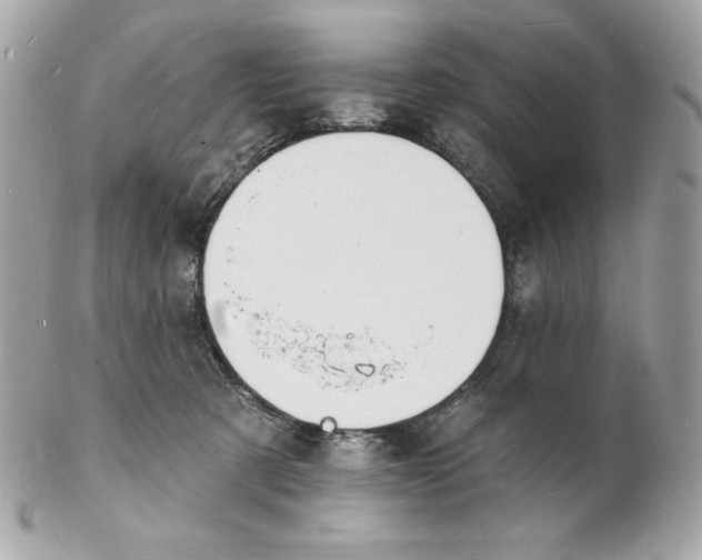 X0000102230321200808151736