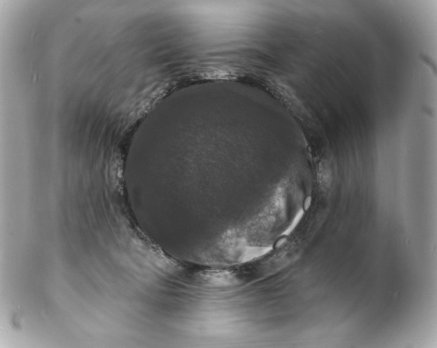 X0000102230322200808151736