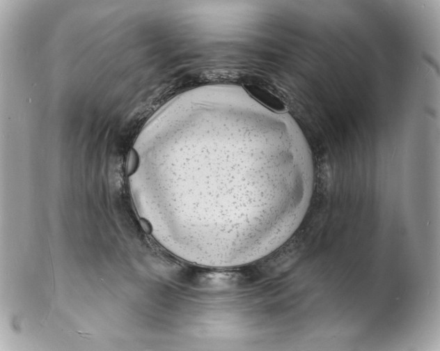 X0000102230323200808151736