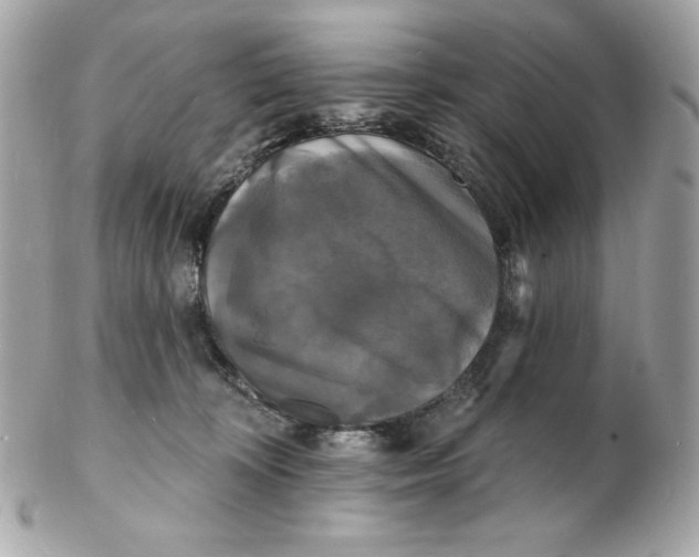 X0000102230324200808151736