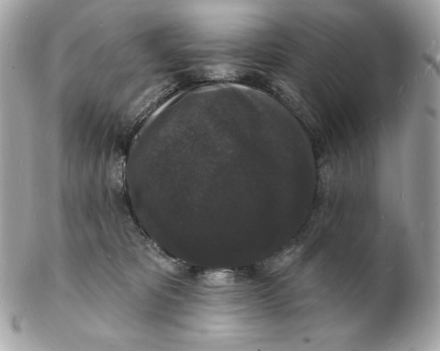 X0000102230325200808151736