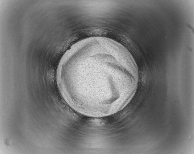 X0000102230326200808151736