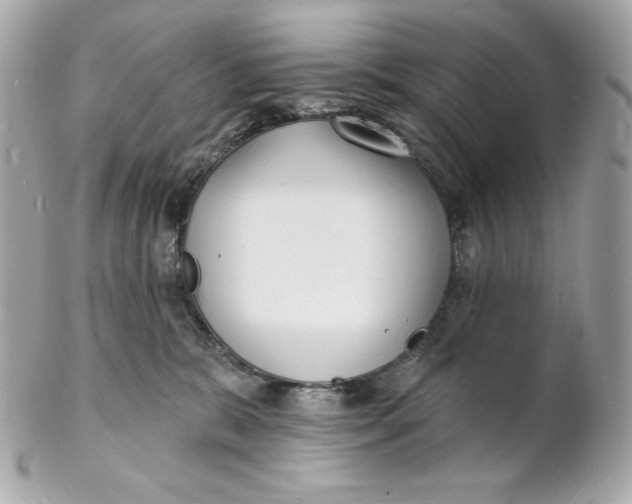 X0000102230327200808151736