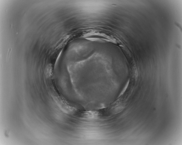 X0000102230328200808151735