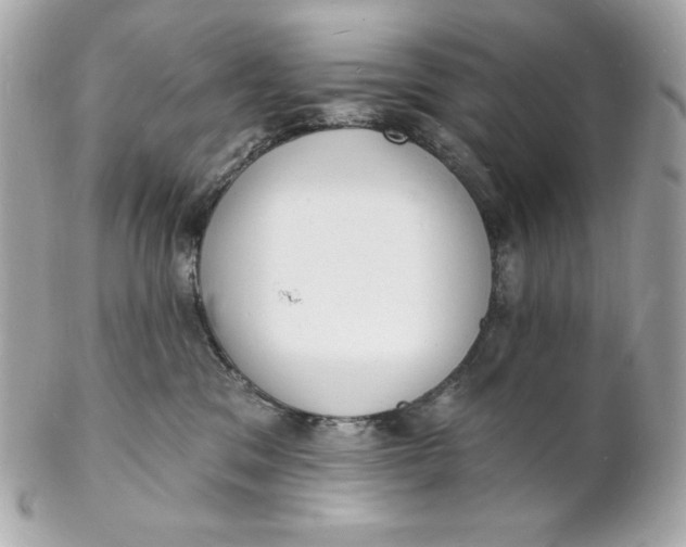 X0000102230329200808151735