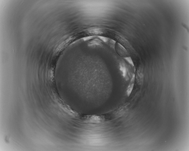 X0000102230330200808151735
