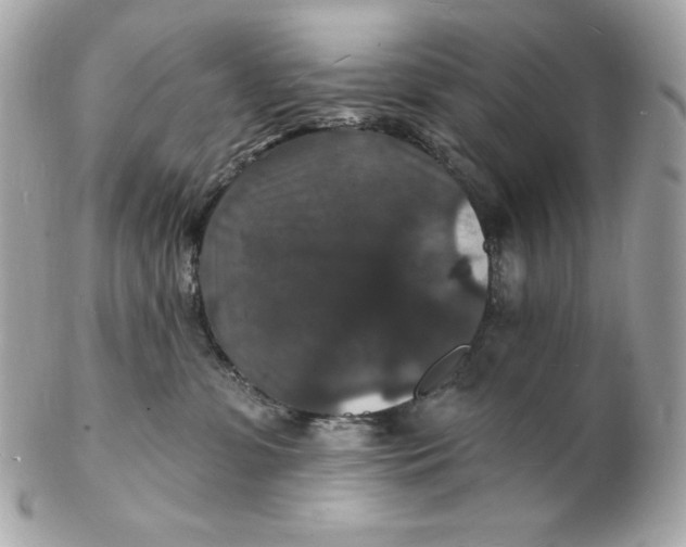 X0000102230331200808151735