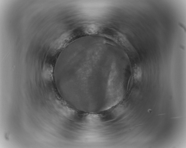 X0000102230332200808151735