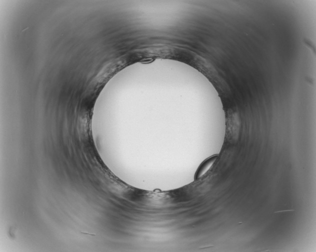 X0000102230333200808151735