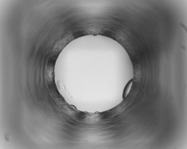 X0000102230334200808151735