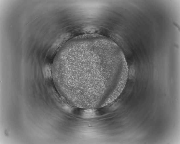 X0000102230335200808151735
