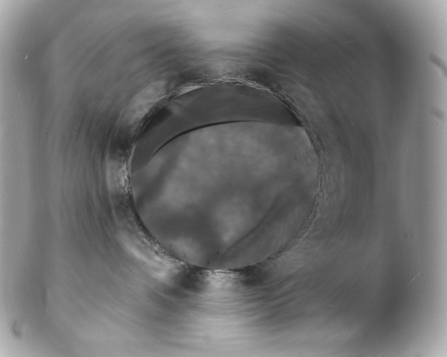 X0000102230336200808151735