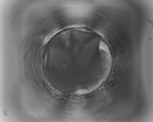 X0000102230337200808151735