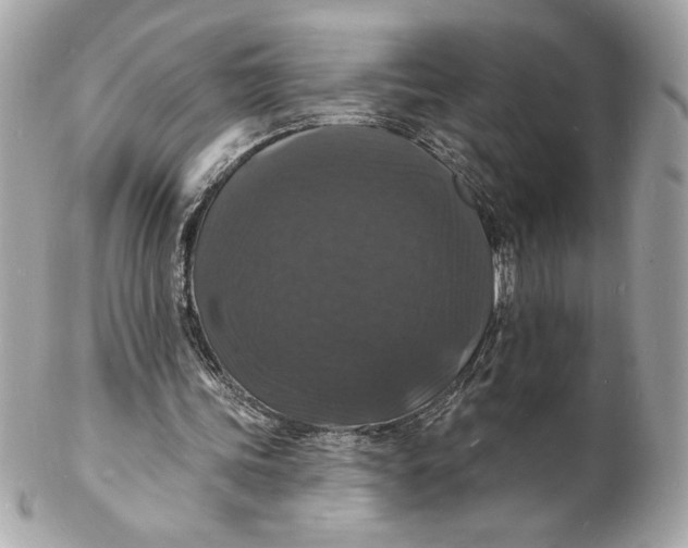 X0000102230339200808151735