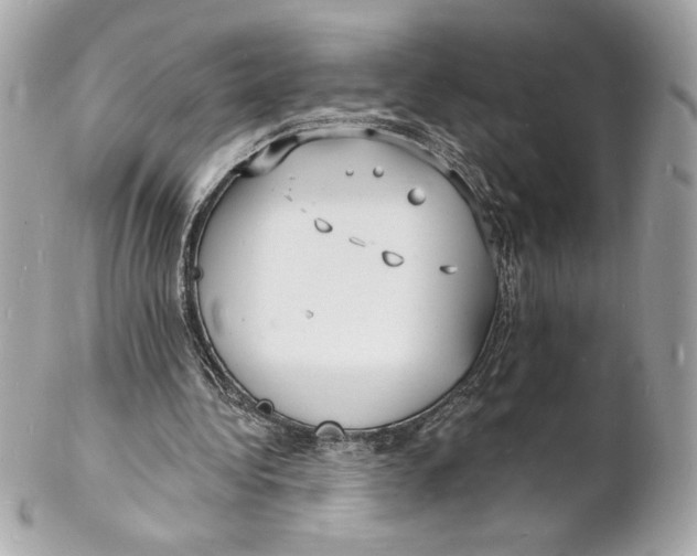 X0000102230340200808151735