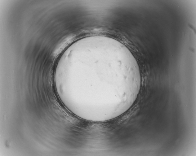 X0000102230341200808151735