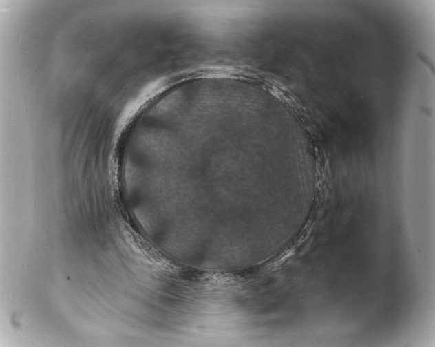 X0000102230343200808151735