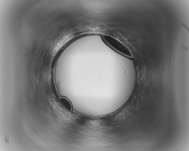 X0000102230344200808151735