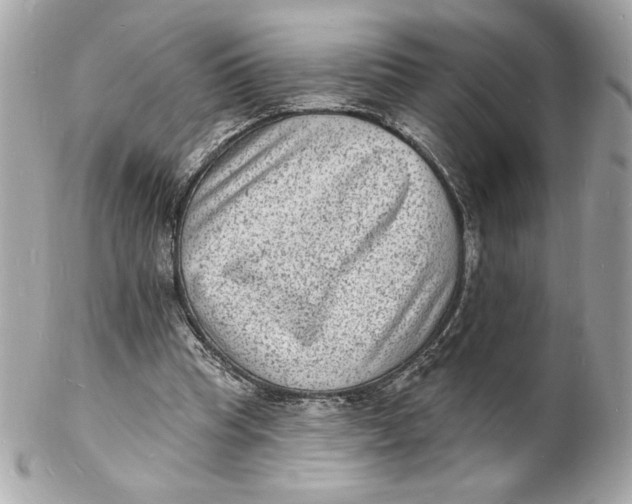X0000102230345200808151735