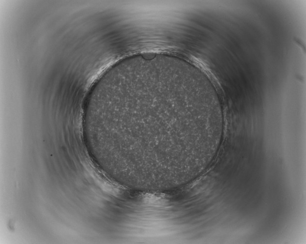 X0000102230346200808151735