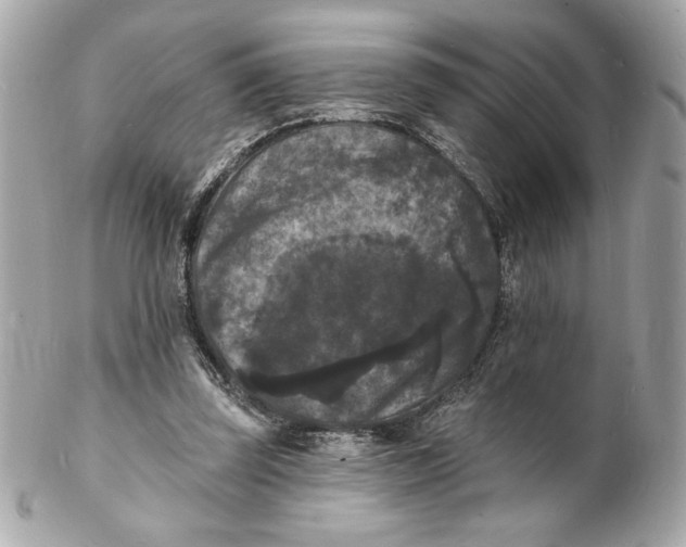 X0000102230347200808151735