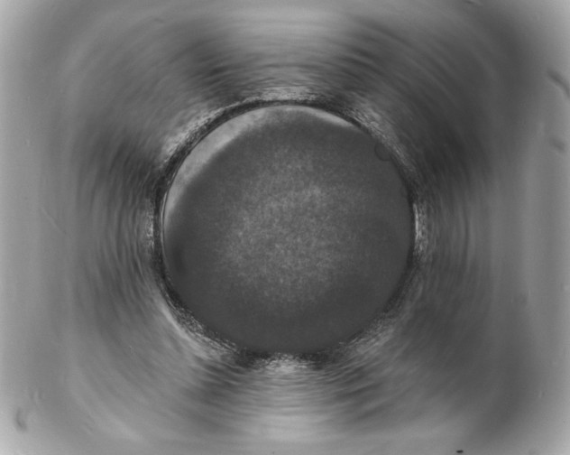 X0000102230348200808151735