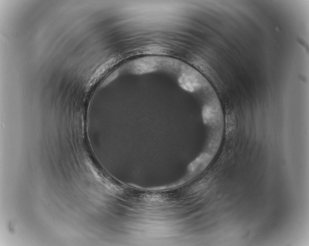 X0000102230349200808151735