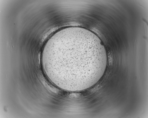 X0000102230350200808151735